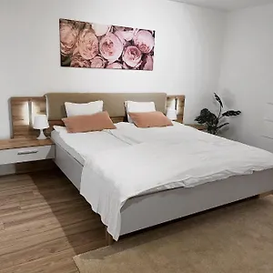 Eine Schoene Im Herzen Von Basel. Apartment